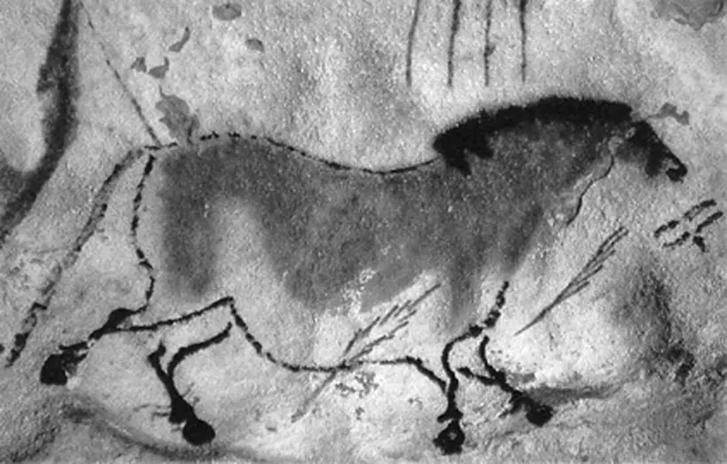 “CON NGỰA TRUNG QUỐC” HANG LASCAUX (PHÁP)