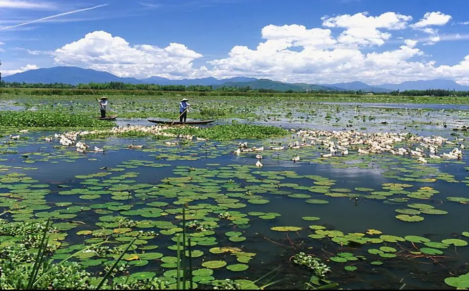 Bưng Hậu Giang